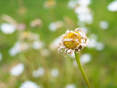 20140619-1510009 1030848