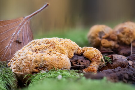 20251031-9430365..422-HFstackedC,S8+B8,3