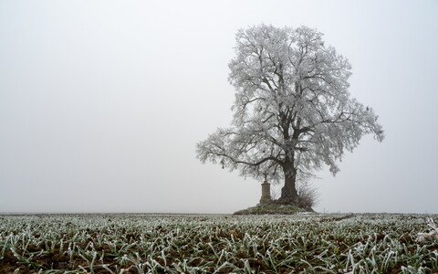 Eiskalt einsam