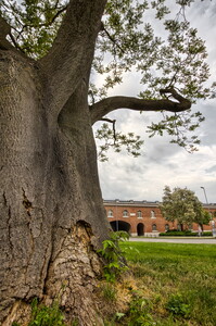 20120522-90023ff2 SNSHDRraw-natural