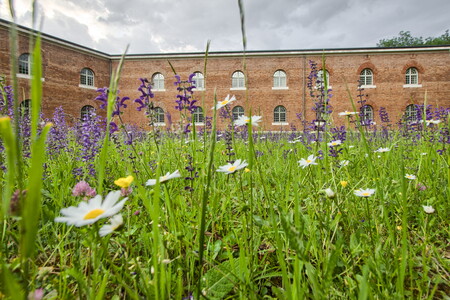 20120522-90049ff3 SNSHDRraw-neutral