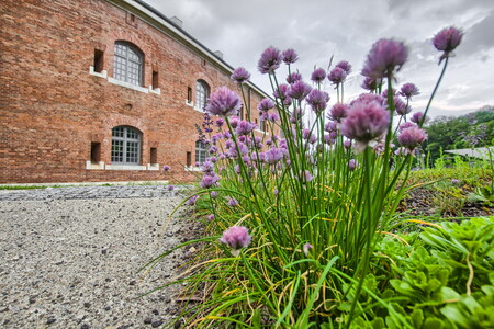 20120522-90139ff3 SNSHDRraw-default