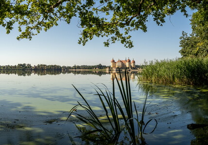 20230910-8071601-HDR-Pano